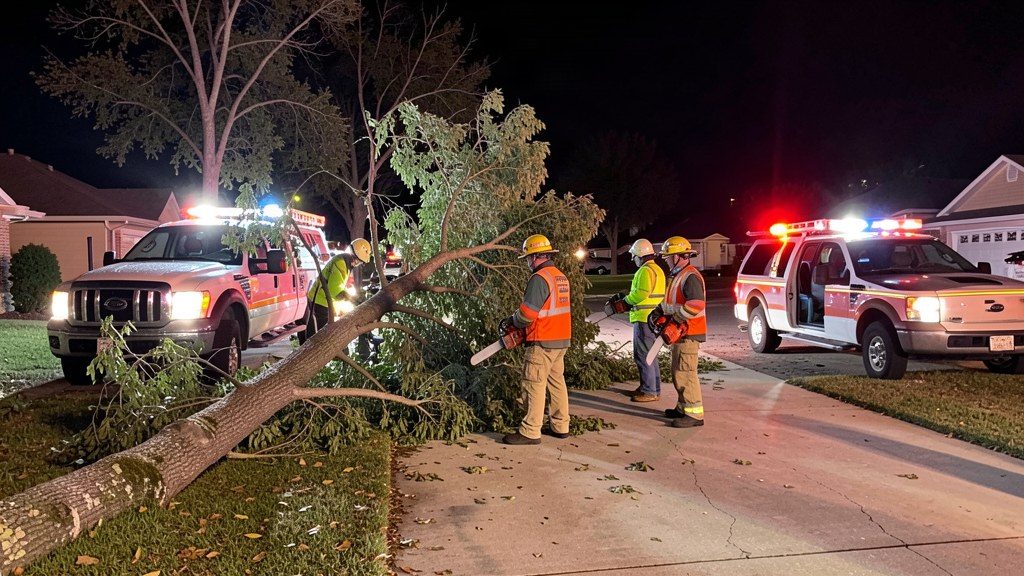 Emergency Tree Service service in Dallas, TX — Dallas Tree Removal — placeholder photo pending