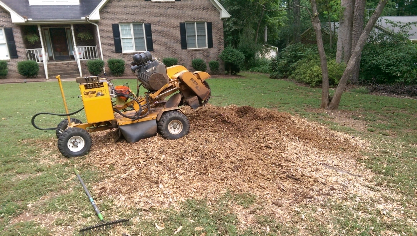 Stump Grinding and Removal Service in Dallas, Texas