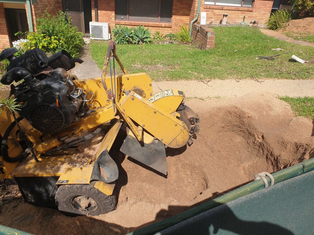 Stump Grinding and Removal Service in Dallas, Texas