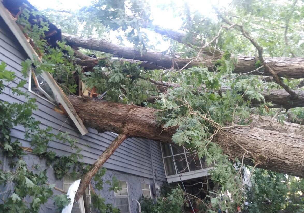 Emergency Tree Services in Dallas, Texas